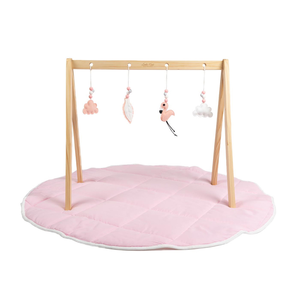 Flamingo Play GYM