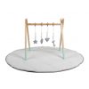 Giraffe Mint Play GYM