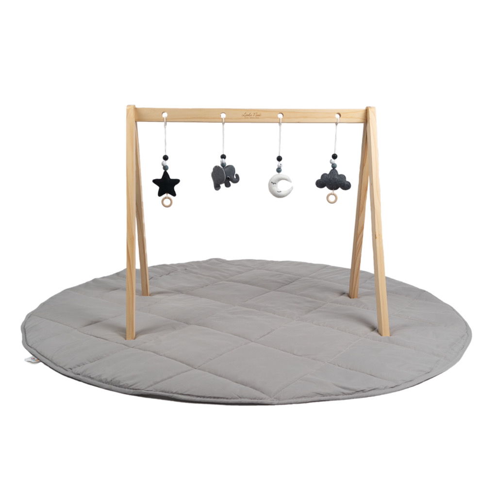 Elephant Play Gym